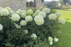 Assisi-realizzazione-giardino-privato-IMG_7885-copia