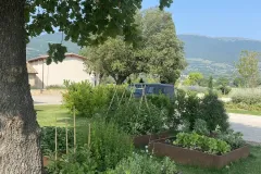 Assisi-realizzazione-giardino-privato-IMG_7918-copia