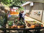 progetto-asilo-paperino-web-8-min