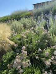 progetto-battisole-03