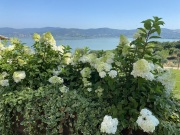 progetto-battisole-04