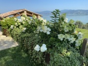 progetto-battisole-05