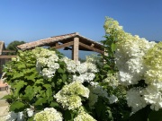 progetto-battisole-06