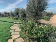 progetto-battisole-web-20-min