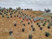 progetto-battisole-web-3-min