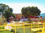 progetto-serena-web-10