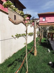 progetto-serena-web-15