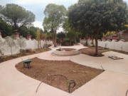 progetto-serena-web-4