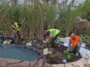 giardini-cherjardin_20240320_180208_1