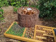 giardini-cherjardin_20240503_125440_1