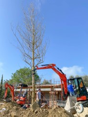 Agriturismo_MonteLago-14