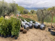 Agriturismo_MonteLago-17