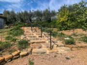 progetto-lepreweb-10