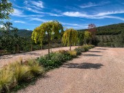 progetto-lepreweb-11