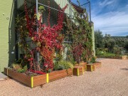 progetto-lepreweb-13