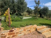 progetto-lepreweb-17