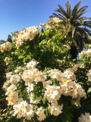 progetto-schnabl-web-12