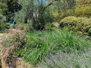 progetto-schnabl-web-15-min