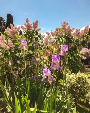 progetto-schnabl-web-16