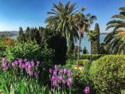 progetto-schnabl-web-7