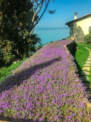 progetto-schnabl-web-8