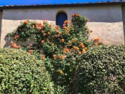 progetto-schnabl-web-9