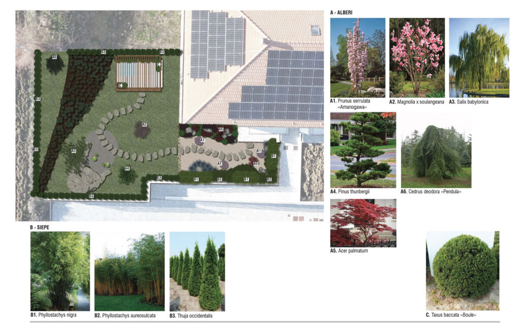 piante di un giardino giapponese