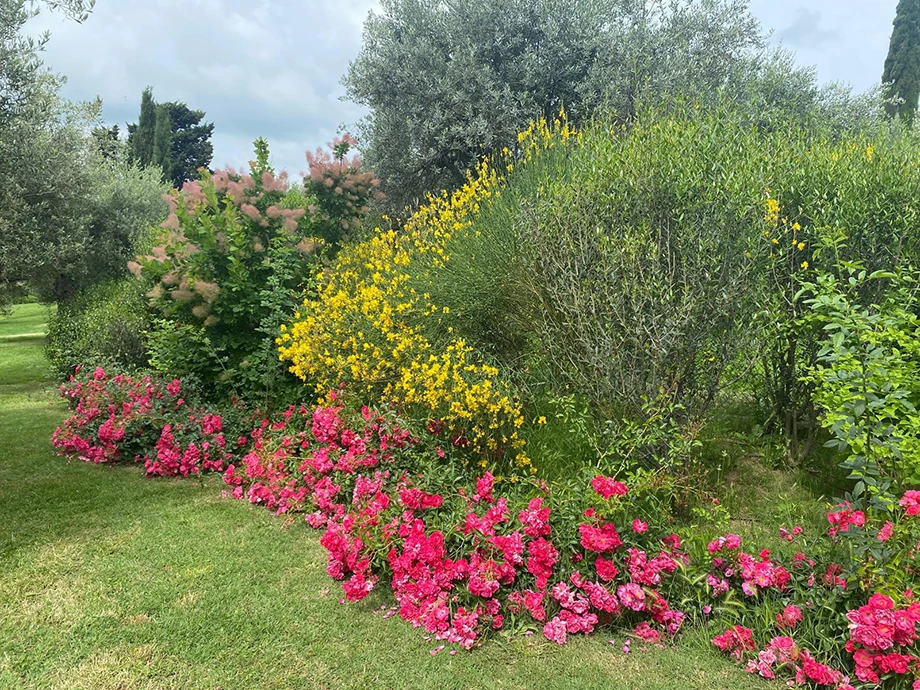 giardino mediterraneo