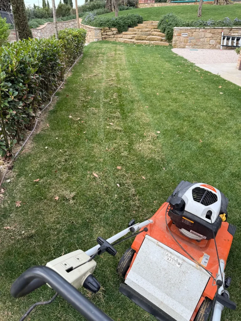 arieggiatura dei prati