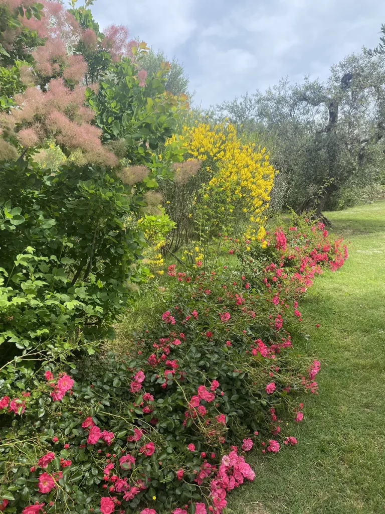 ripresa vegetativa giardino primaverile