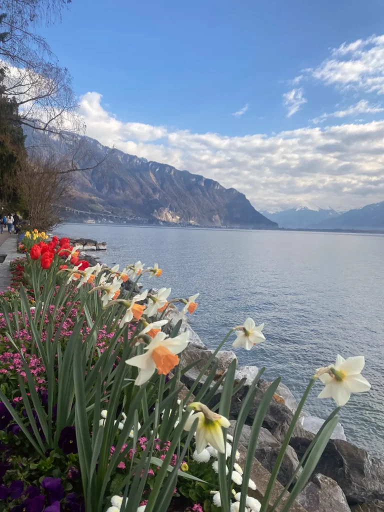 fioriture in giardino primavera