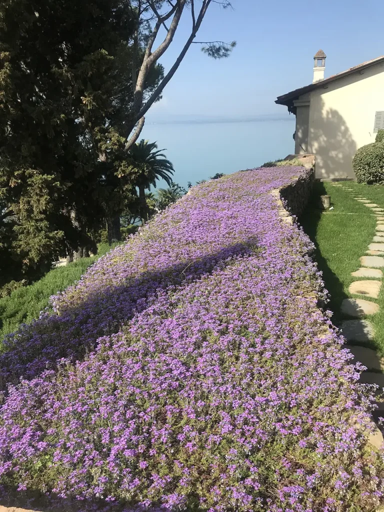 fiori in giardino in pendenza aprus