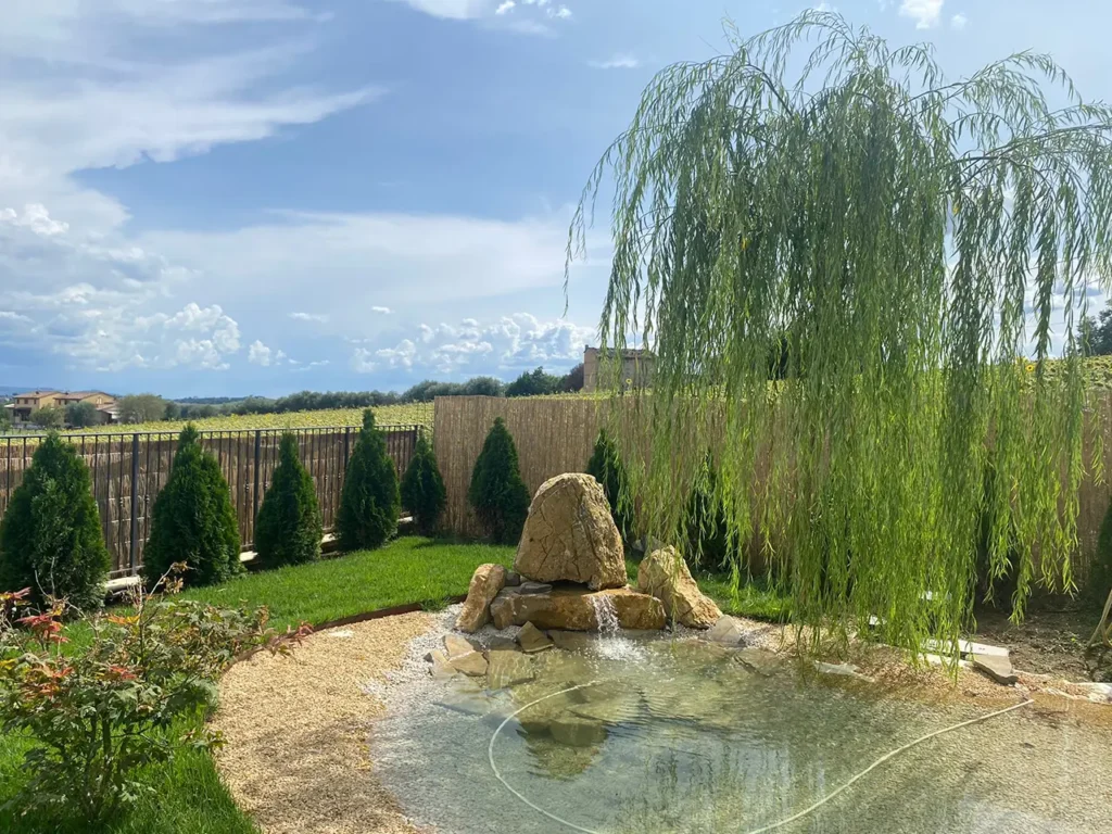 giardino con laghetto