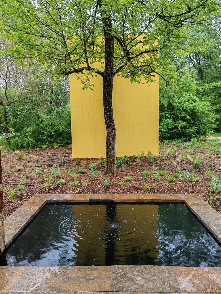 laghetto geometrico in giardino acquatico