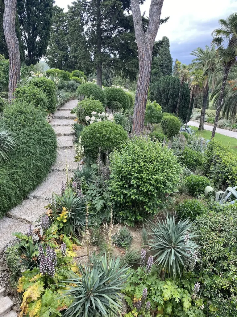 piante per giardino in pendenza aprus