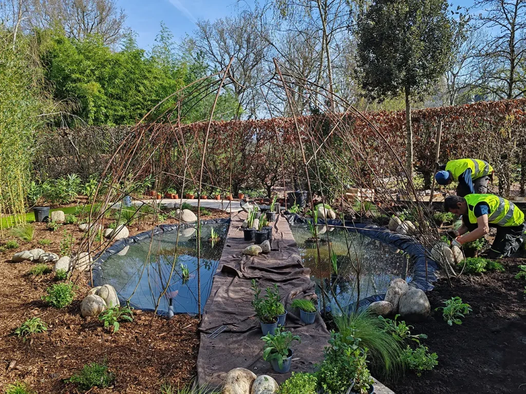 realizzazione giardino acquatico