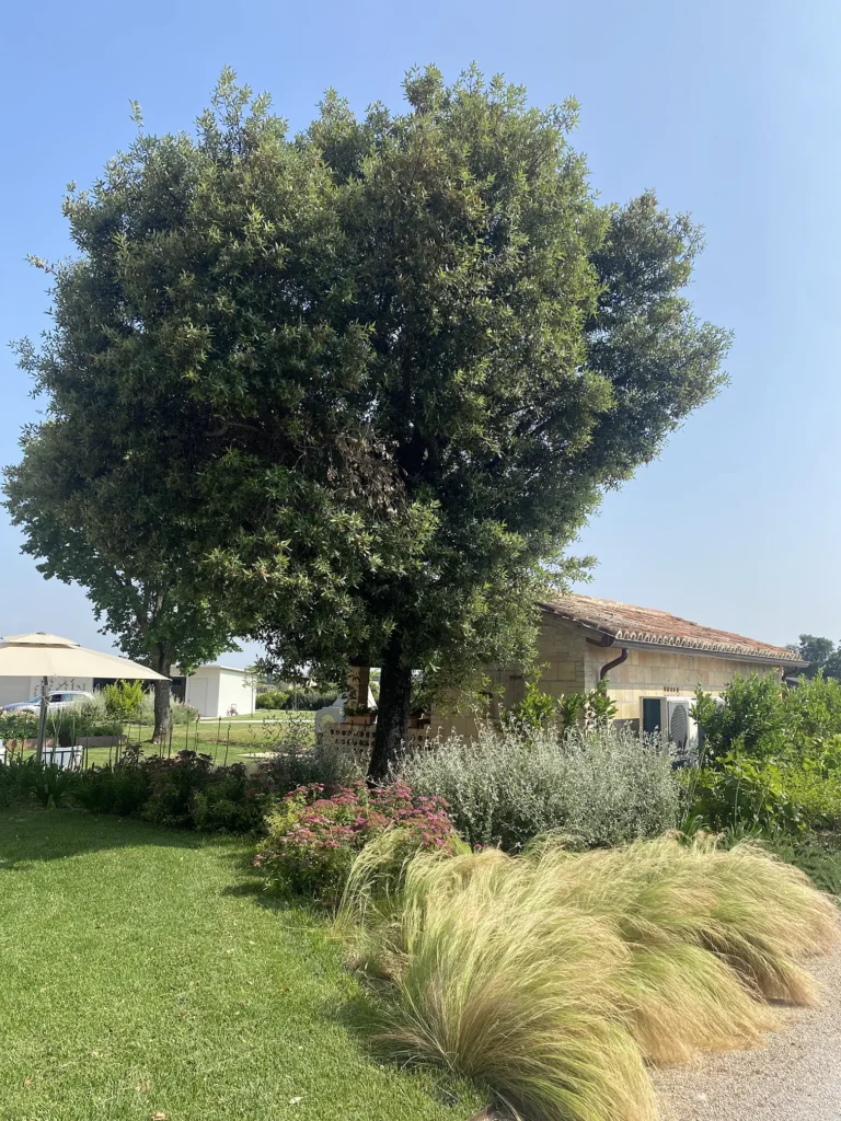 giardino in stile naturale di aprus