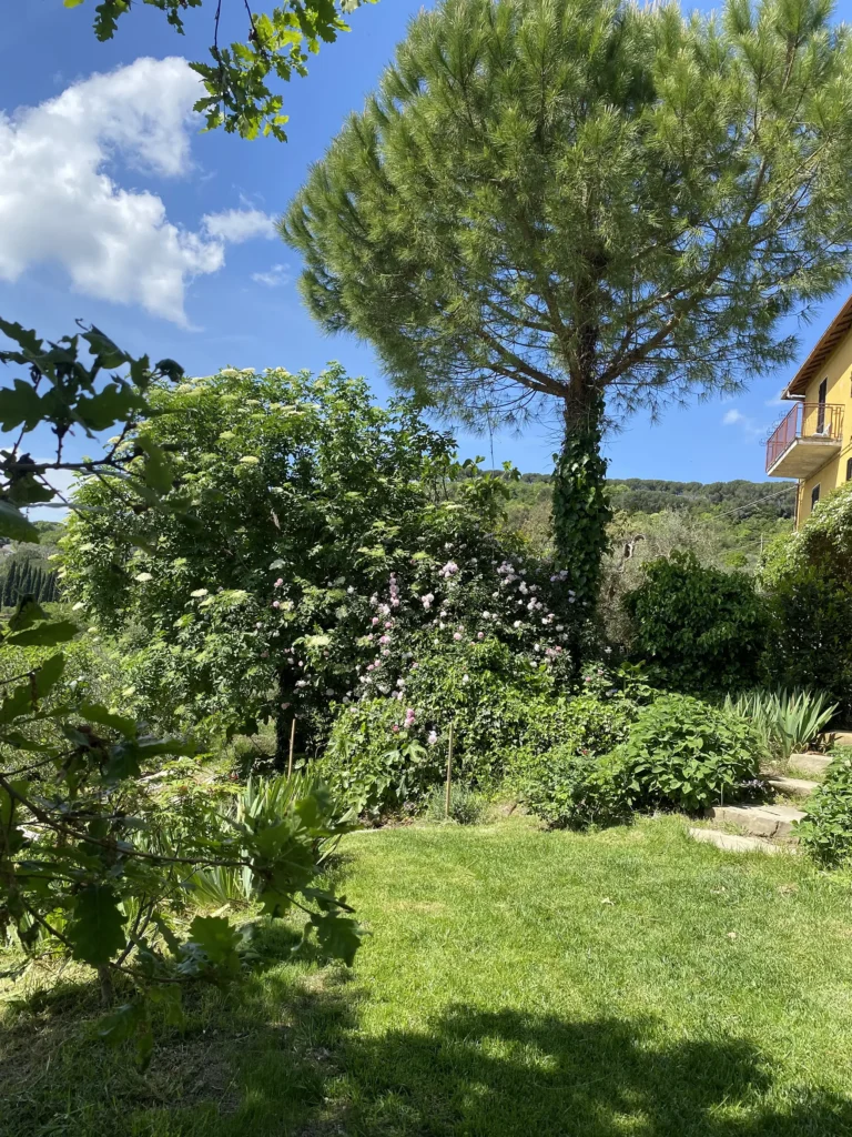 giardino mediterraneo a bassa manutenzione
