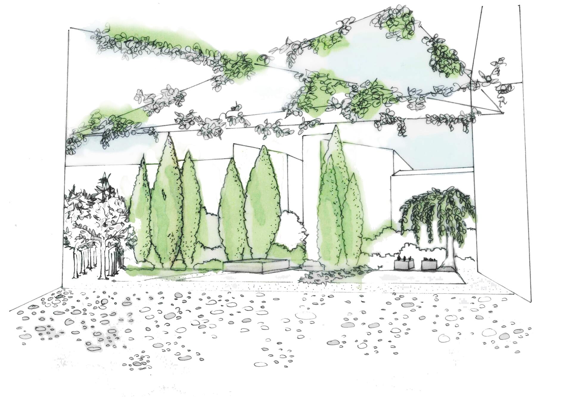 progettazione giardino