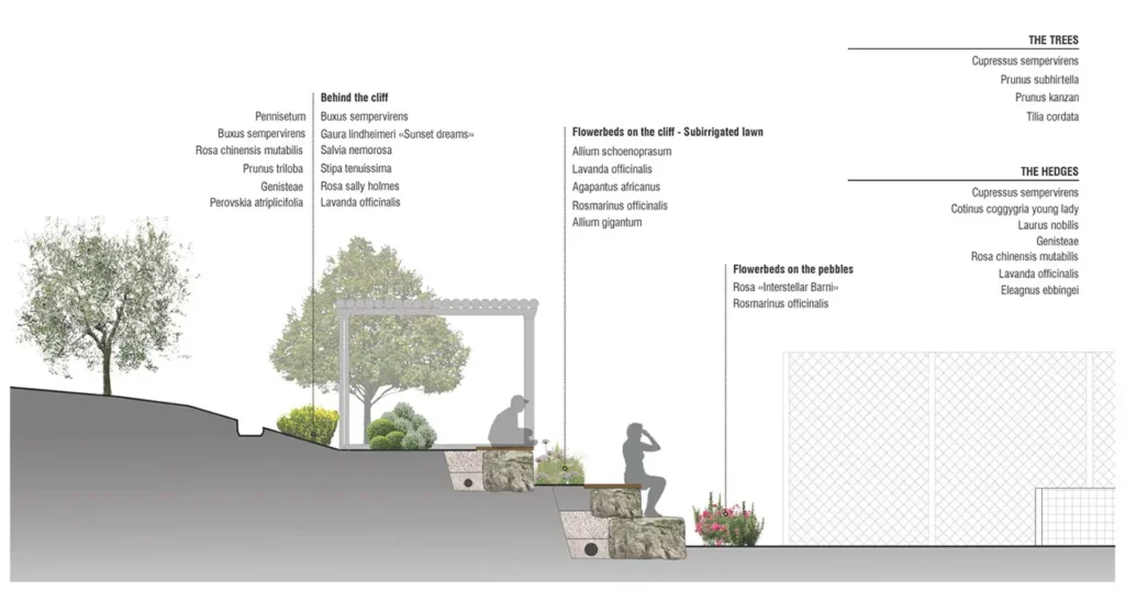 scelta delle piante nel progetto di un giardino