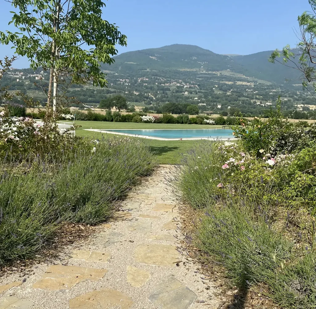 vialetto e piante intorno alla piscina