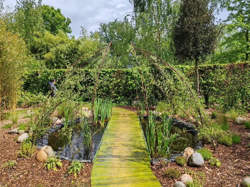 realizzazione giardino con laghetto