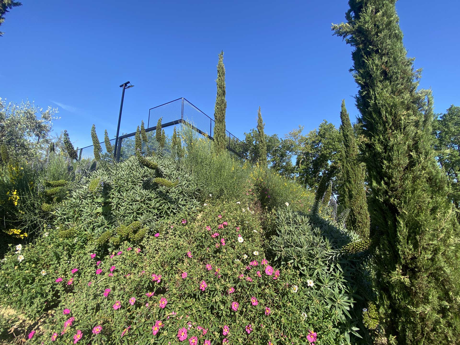 Progettazione Paesaggistica Spazi Verdi